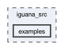 /__w/iguana/iguana/iguana_src/examples